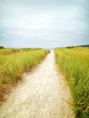 Beach Trail