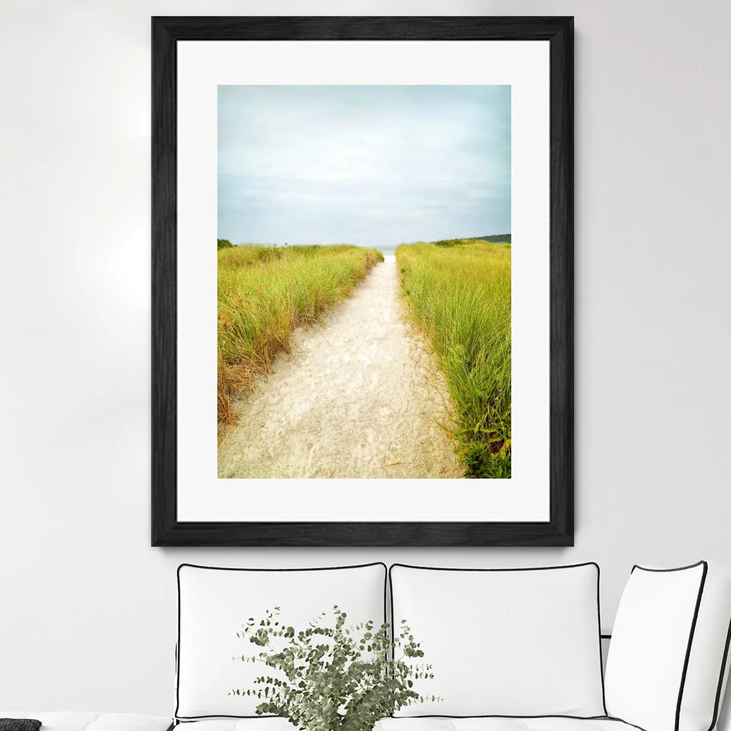 Beach Trail