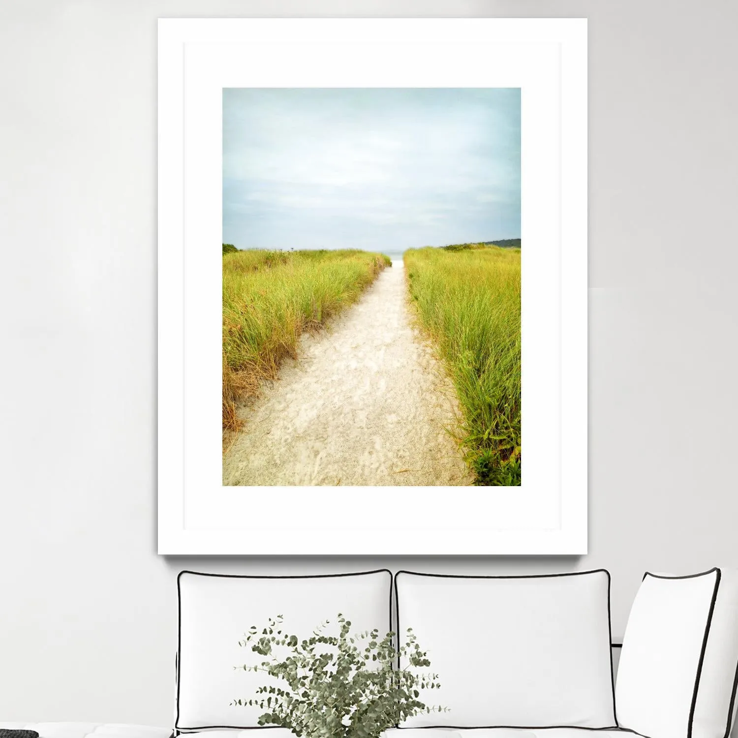 Beach Trail