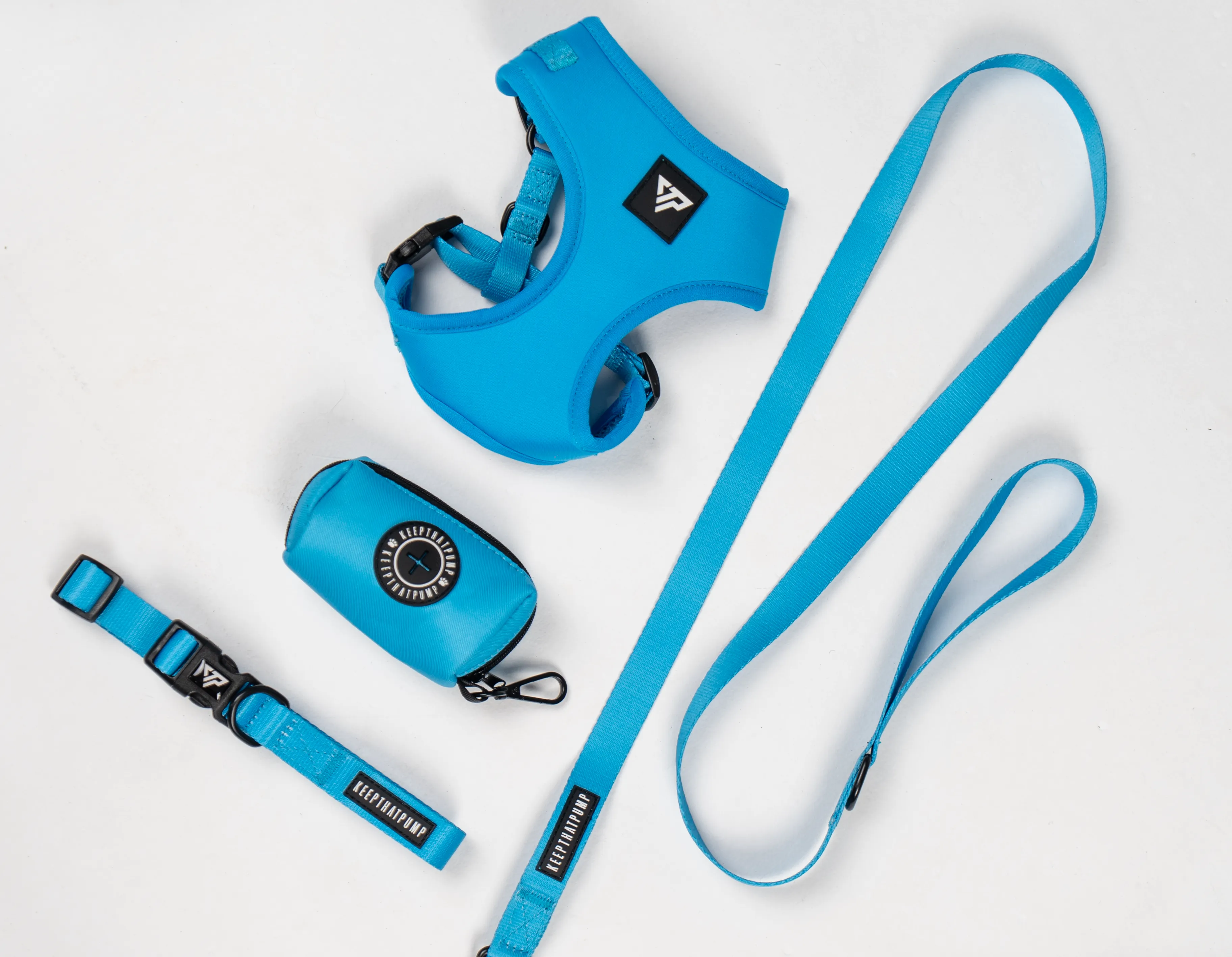 Doggy 4 Piece walking set - Blue