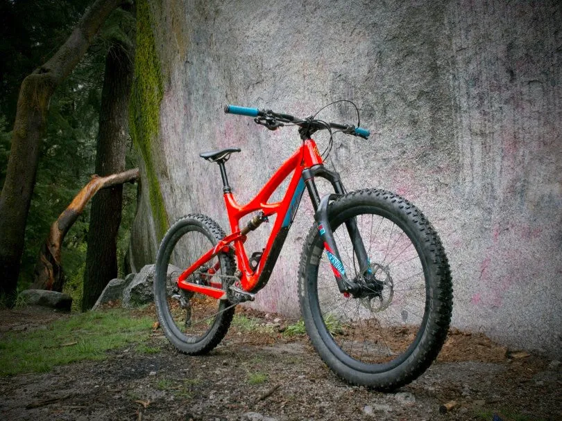 Ibis Ripley LS Frameset