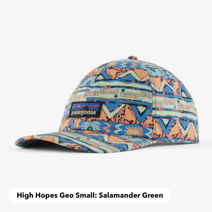 Patagonia High Hopes Geo Small: Salamander Green P-6 Label Trad Cap