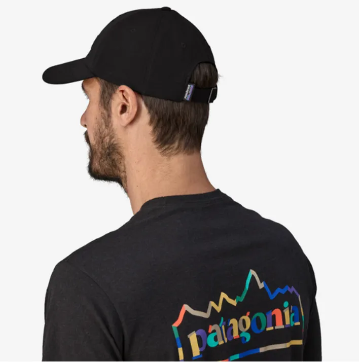 Patagonia High Hopes Geo Small: Salamander Green P-6 Label Trad Cap