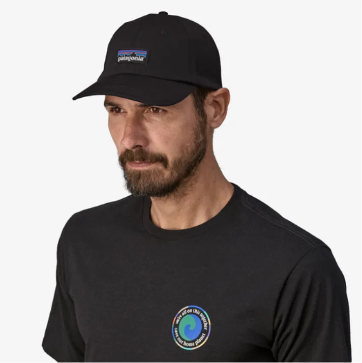 Patagonia High Hopes Geo Small: Salamander Green P-6 Label Trad Cap